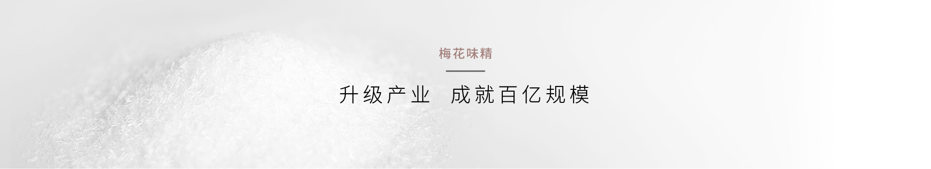 营销策划公司梅花味精营销咨询公司创新行业创造红色传播符号案例鼠标划过效果-奇正沐古是提供营销策划、品牌策划、企业营销策划、品牌规划、企业品牌策划、上海品牌策划、品牌咨询、品牌管理、营销咨询等服务的上海策划公司、上海品牌策划公司、营销策划公司、营销咨询公司、上海营销策划公司、品牌营销咨询公司